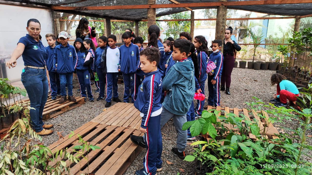 img Educação Ambiental e Comunicação Social